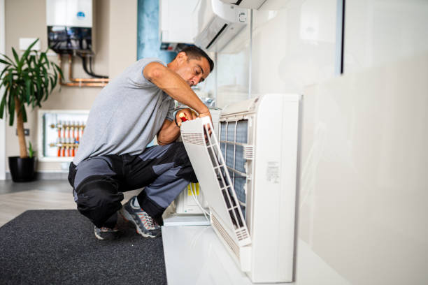 Best Air Duct Mold Removal  in East Pepperell, MA